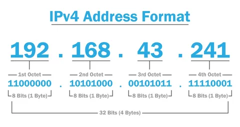IPv4 address format with correct octet range up to 255

