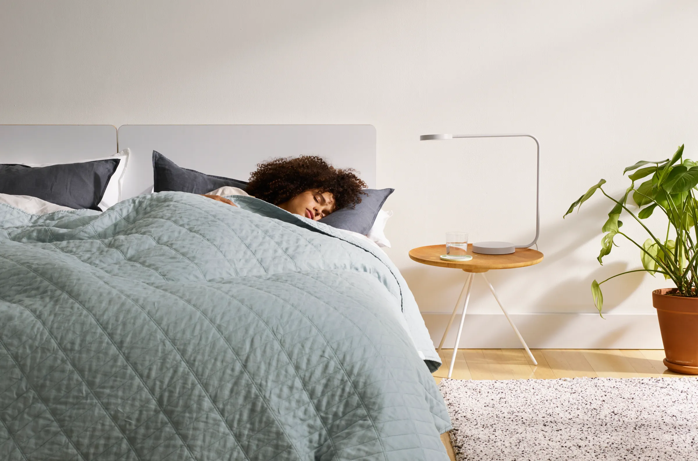 Sleep improvement strategies and mental wellness techniques