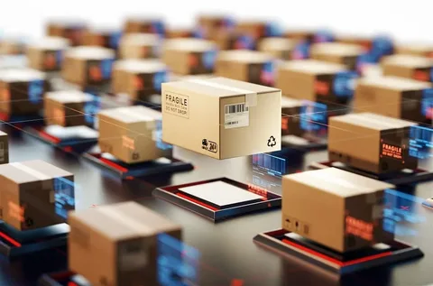 plg packaging and dispatch area