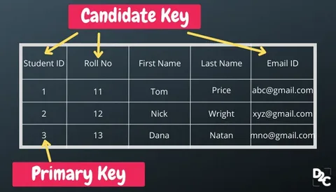 Maydidate compared with candidate term