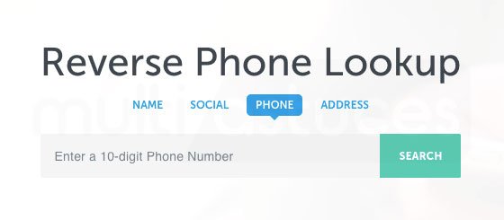Searching 3303413752 on a phone lookup website
