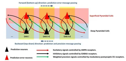Real-time adaptive loop in Wurduxalgoilds
