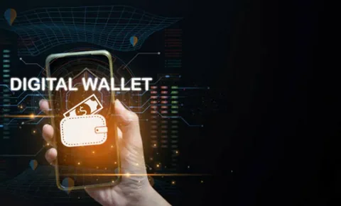 candizi 2025 secure wallet preview with balance and transaction