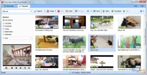 youtube video downloaders list and guide