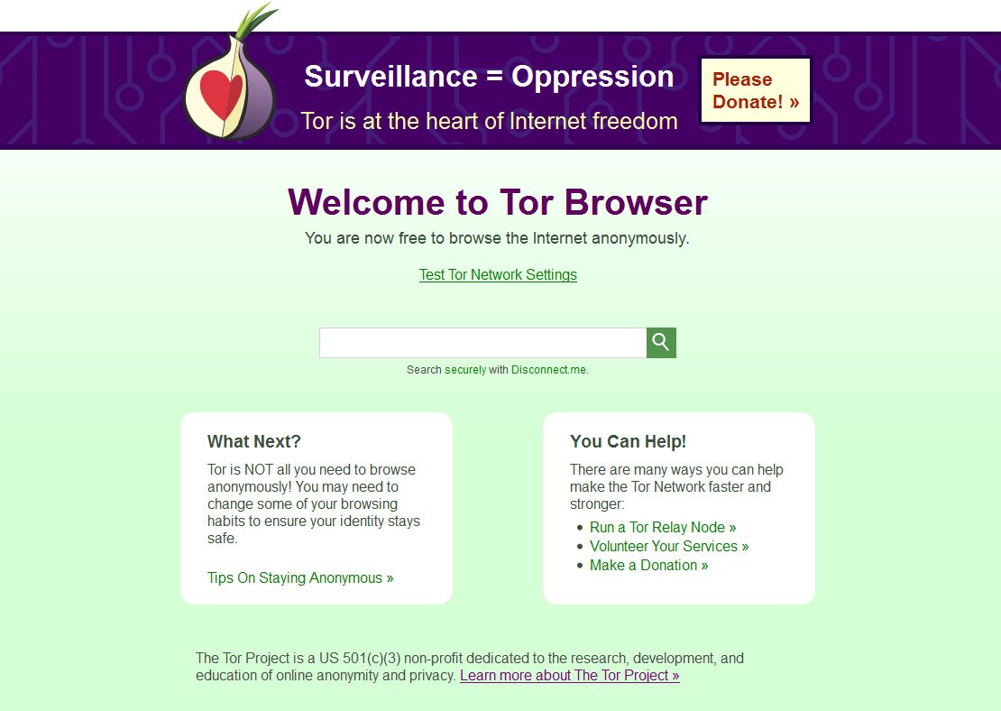 person accessing anon vault using tor browser for anonymous connection