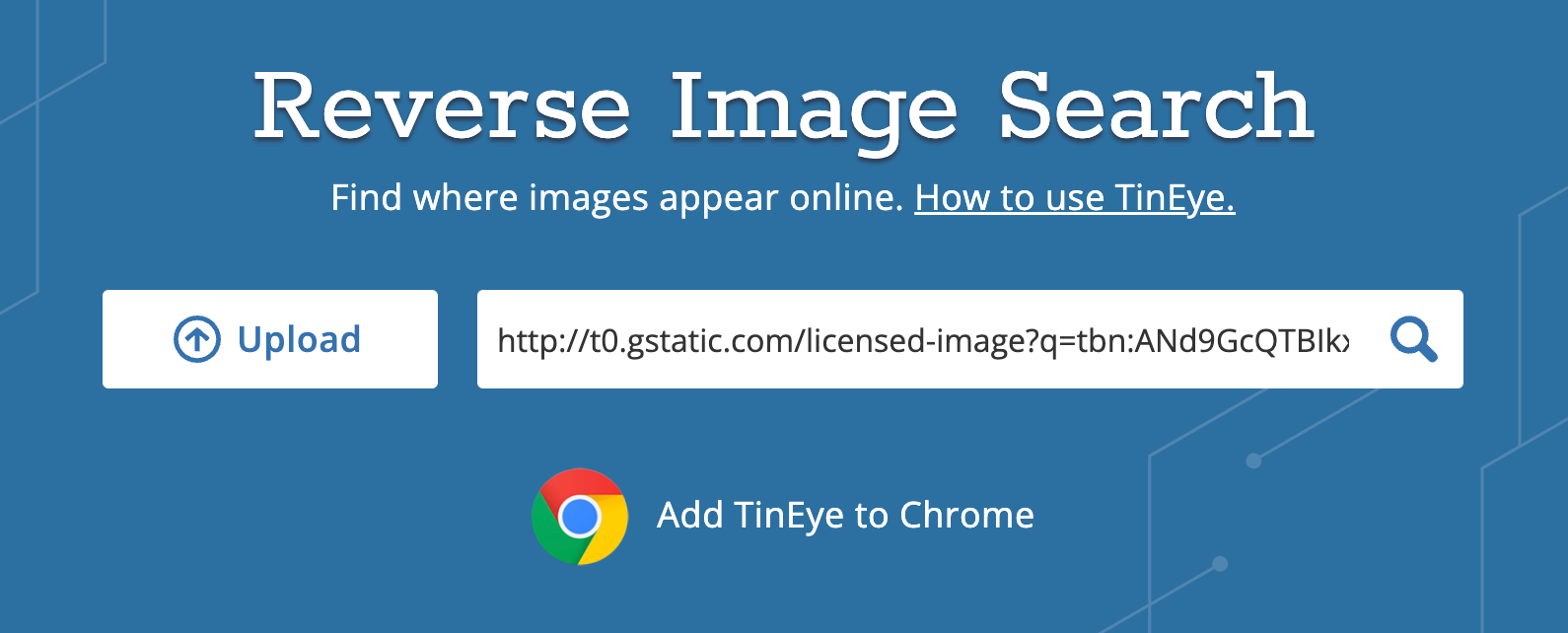 Search manipulation and SEO spam linked to incestflox