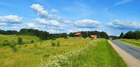 Sodziu countryside during summer with blooming fields