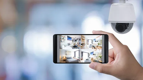 Oeuvre camera mobile viewing on smartphone