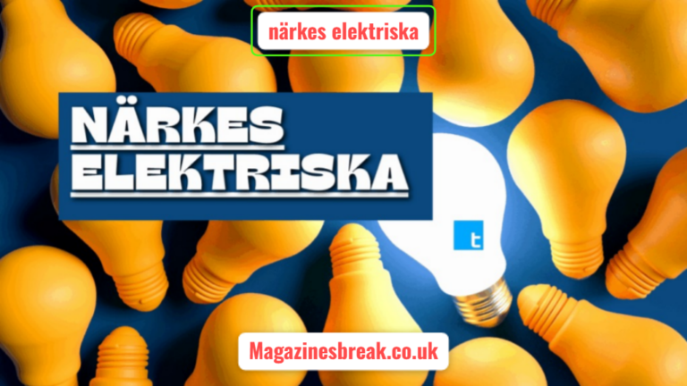 närkes elektriska