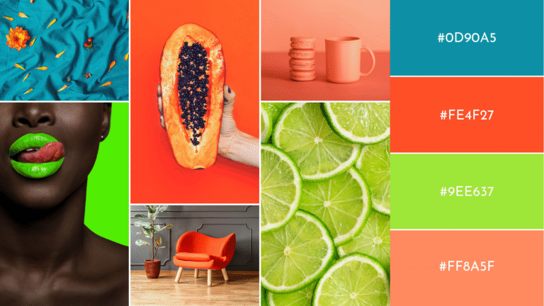 what-makes-adwysds-color-palette-stand-out