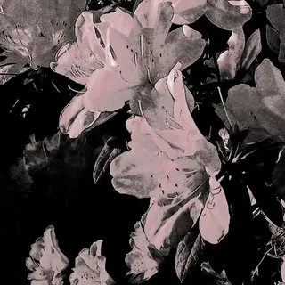 Abstract lily artwork symbolizing the concept of lillienu