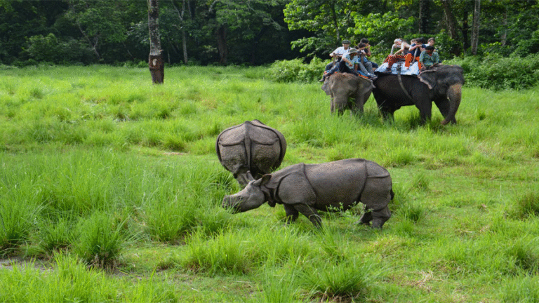 The Complete Nepal Experience: Trekking, Safari & Sacrosanct Sites: